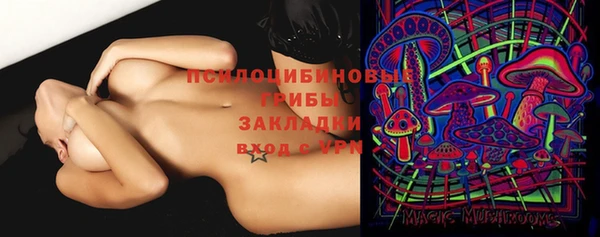 дживик Наволоки