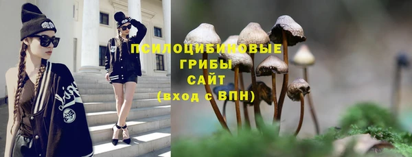 молекула духа Алексин