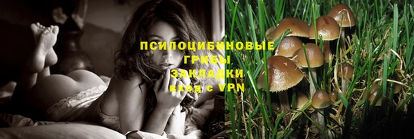 mdpv Алзамай