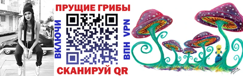 мега онион  купить   Сокол  Псилоцибиновые грибы мухоморы 