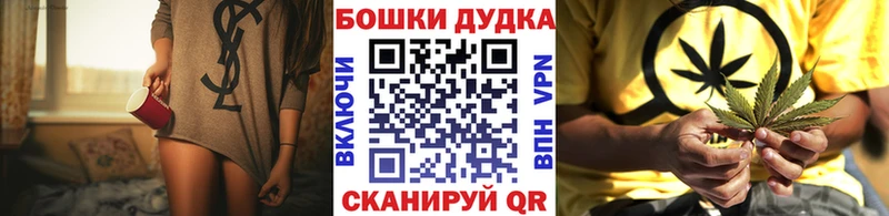 где продают наркотики  Сокол  МАРИХУАНА конопля 